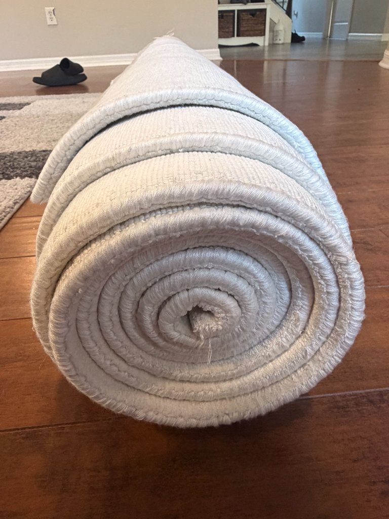 Large area rug rolled up for plant immersion washing by HydroLux Floor Care