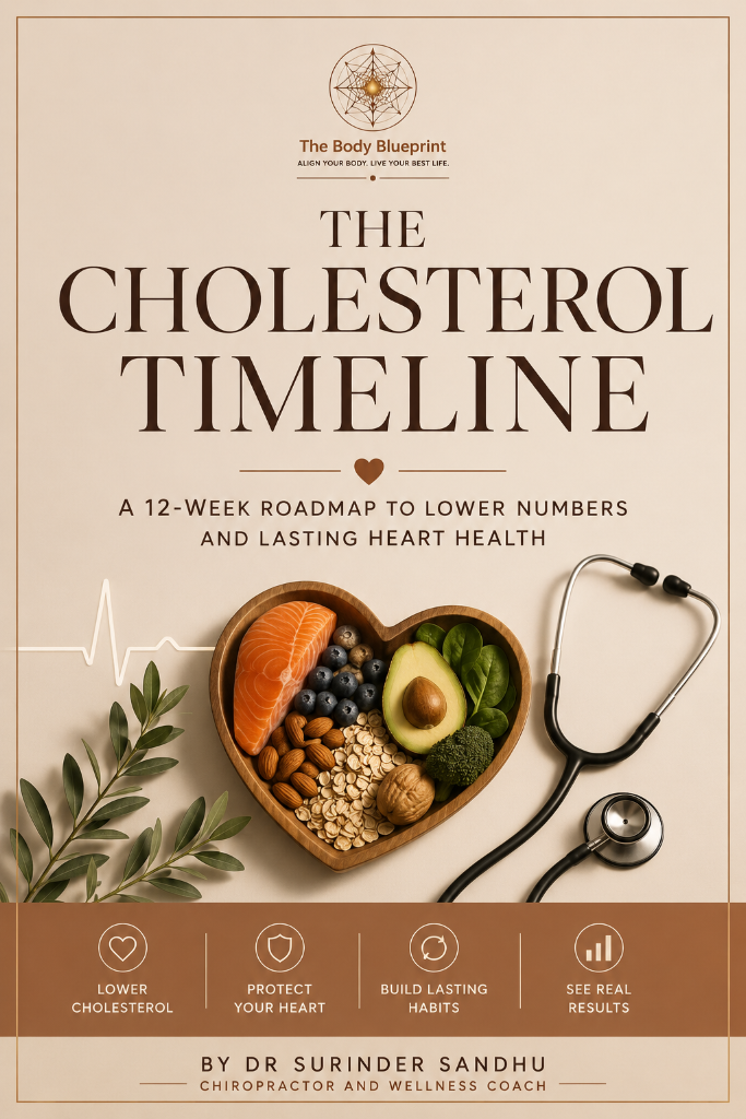 The Cholesterol Timeline — Heart & Cholesterol educational guide cover