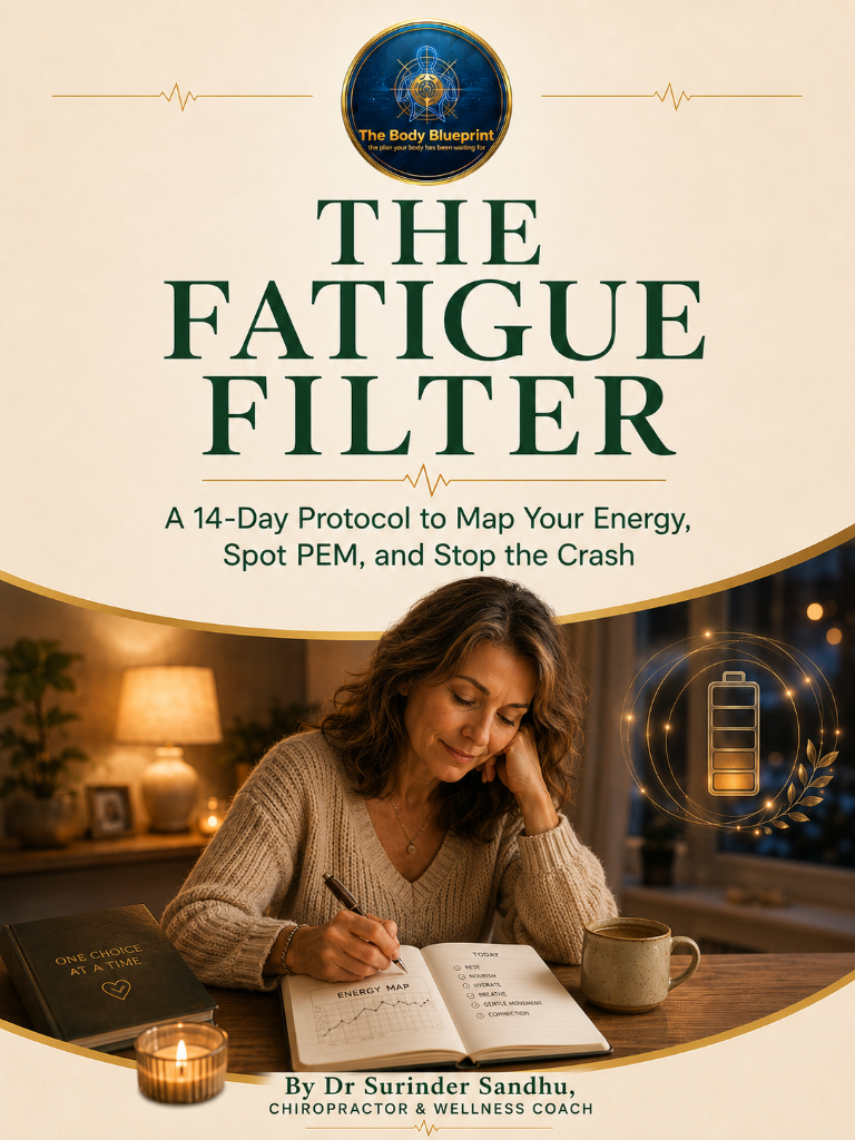 The Fatigue Filter — Energy & Fatigue educational guide cover