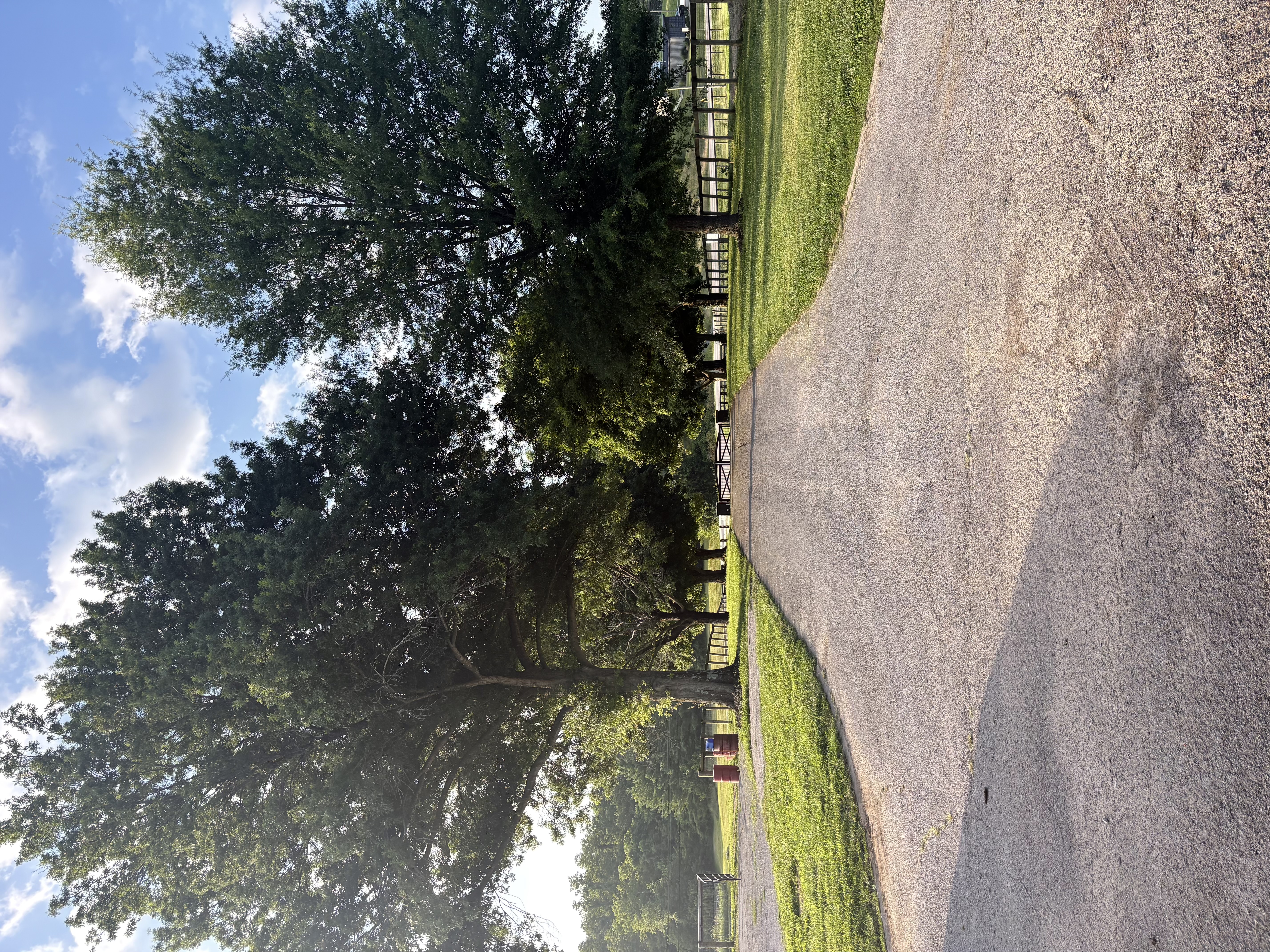 Tranquil Hill Veterinary Hospital driveway