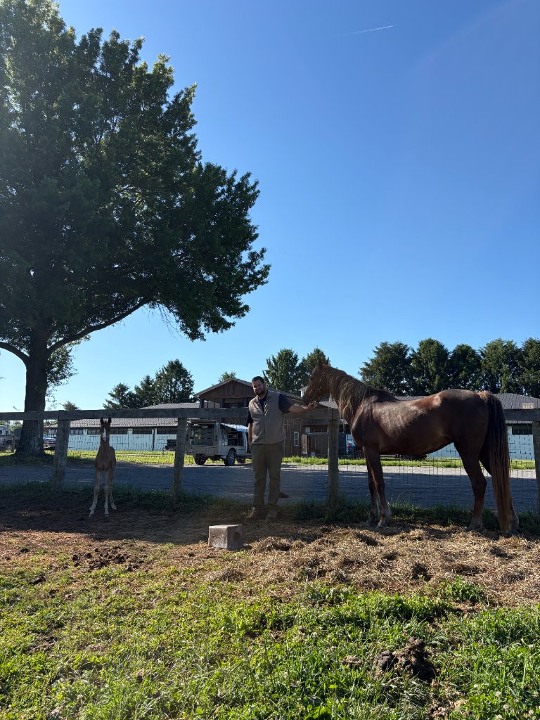 Dr. Justin Murray with a horse and foal at the farm