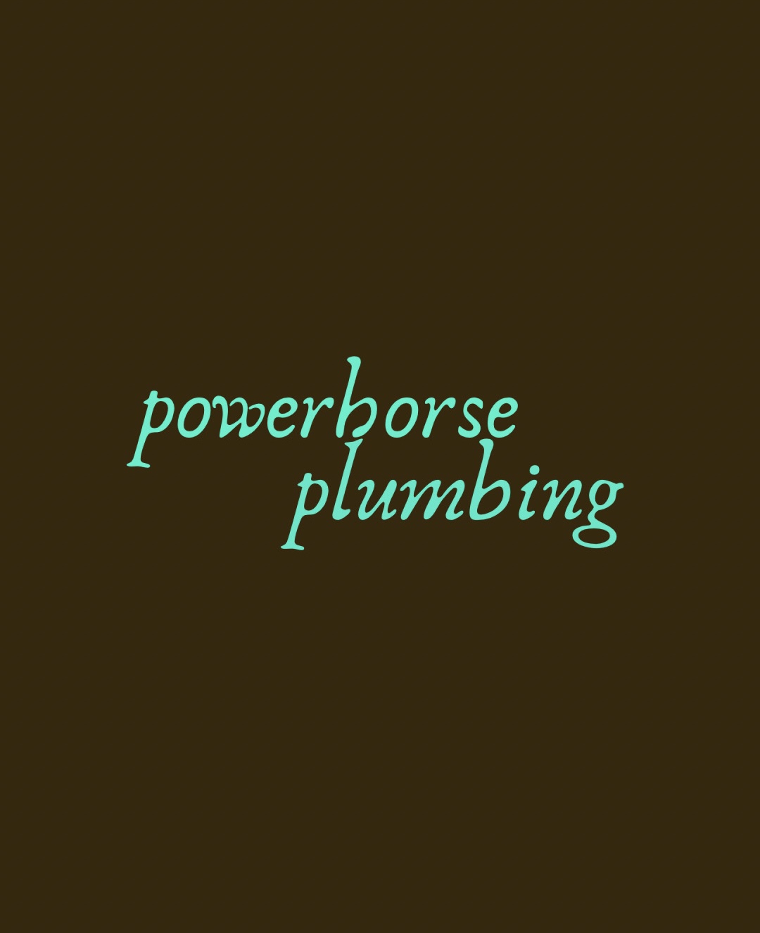 Powerhorse Plumbing
