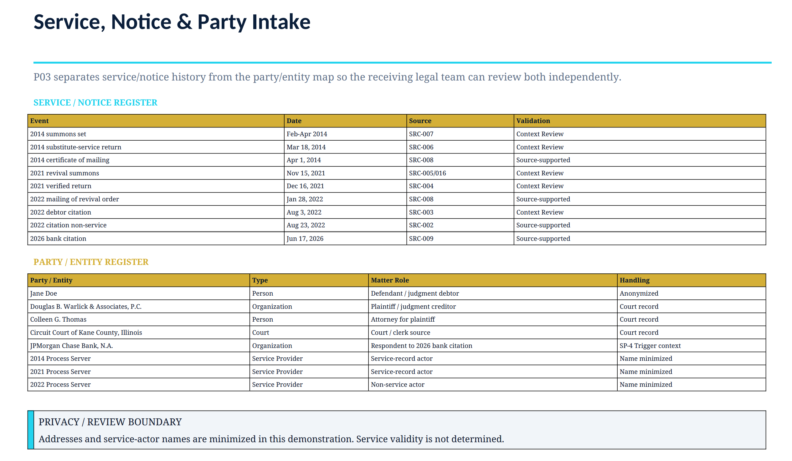P03 — Litigation Intake Organization: Service, Notice & Party Intake — representative privacy-protected preview