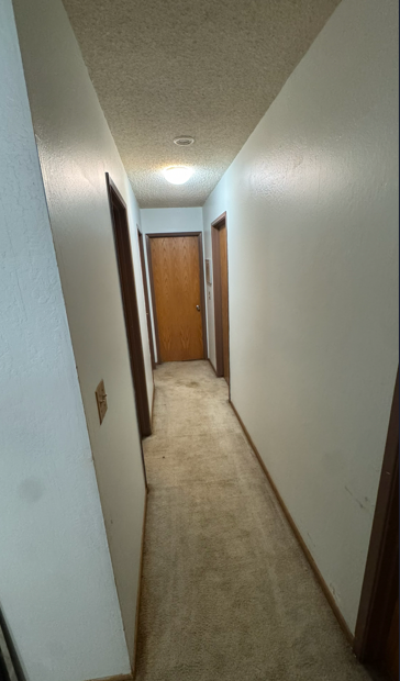6316 Hillsdale Boulevard - Image 4