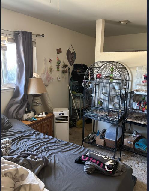 5804 Keyntel Street - Image 10