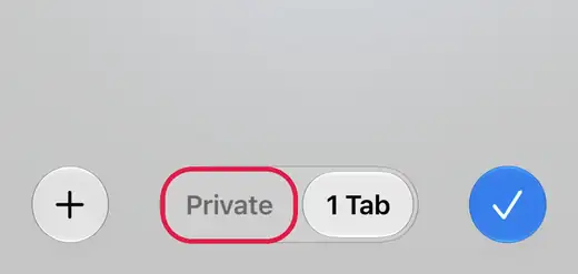 iPhone Safari: tap the tabs button, then Private