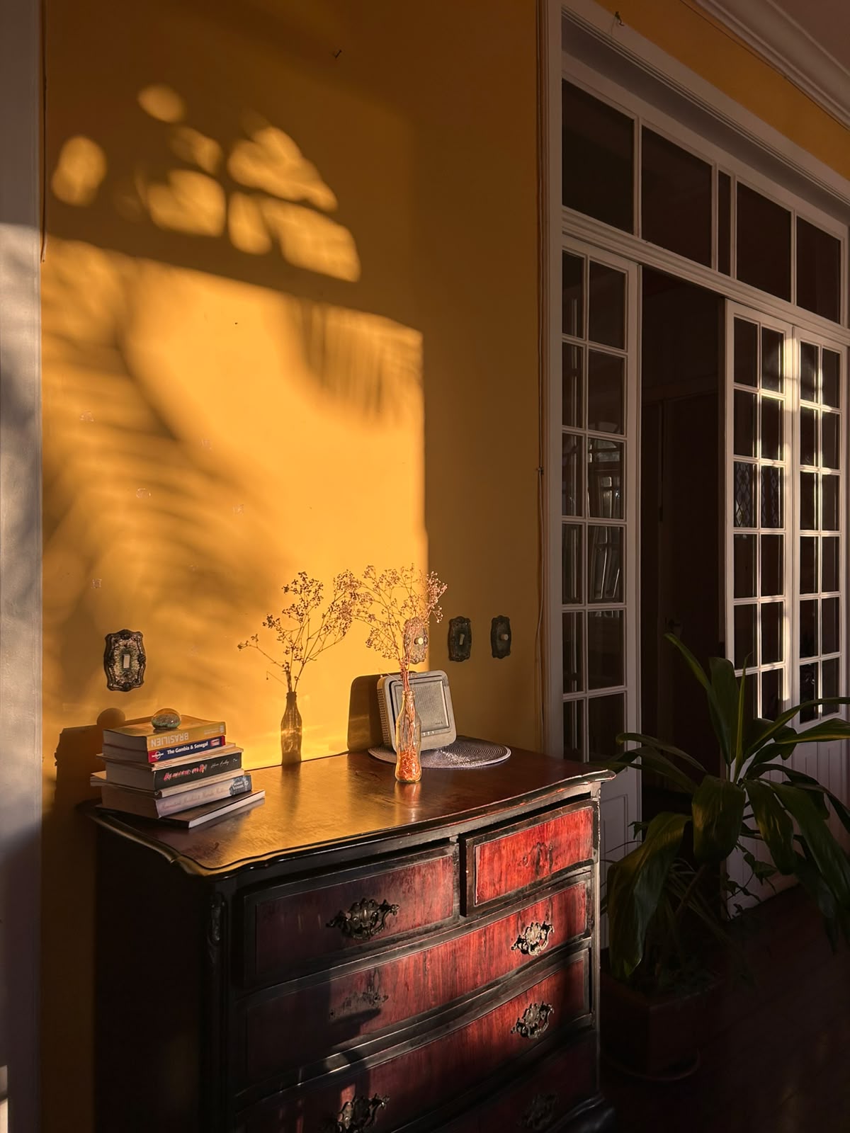 Sala (Living & Dining) — photo 7