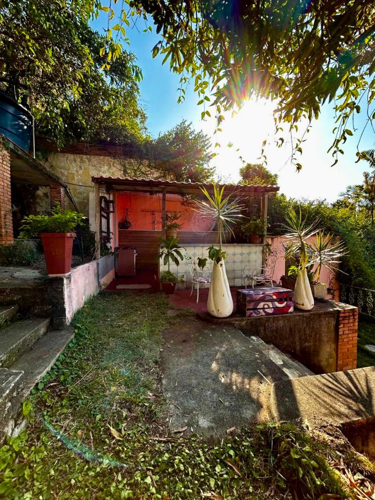 Pool & Garden — photo 5