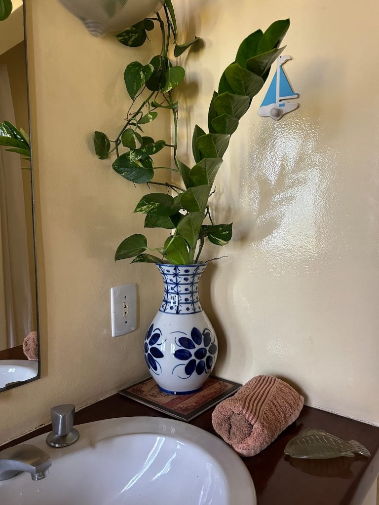 Suite Deluxe — photo 1