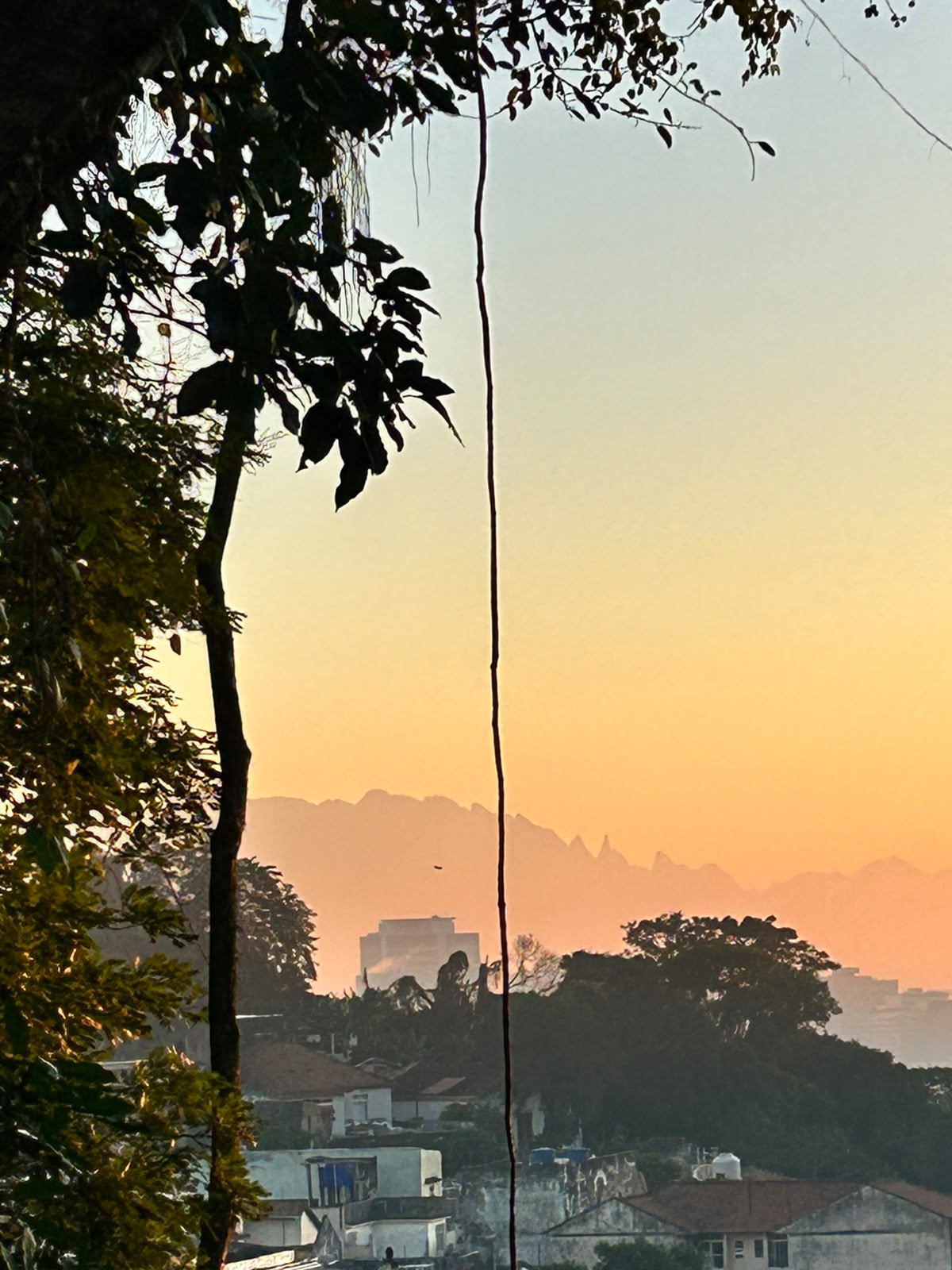 Panoramic View — photo 1