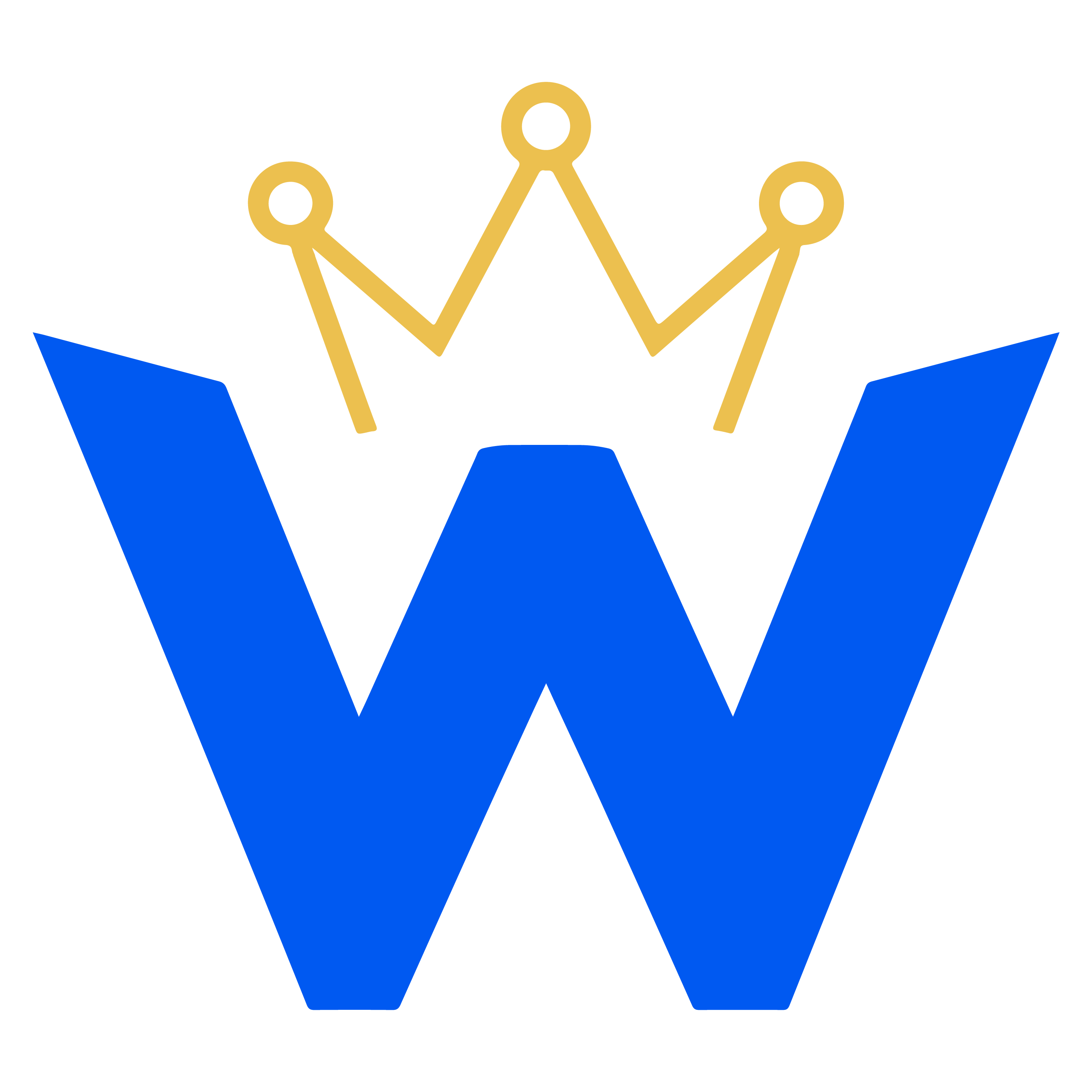 Logo willycorona.com