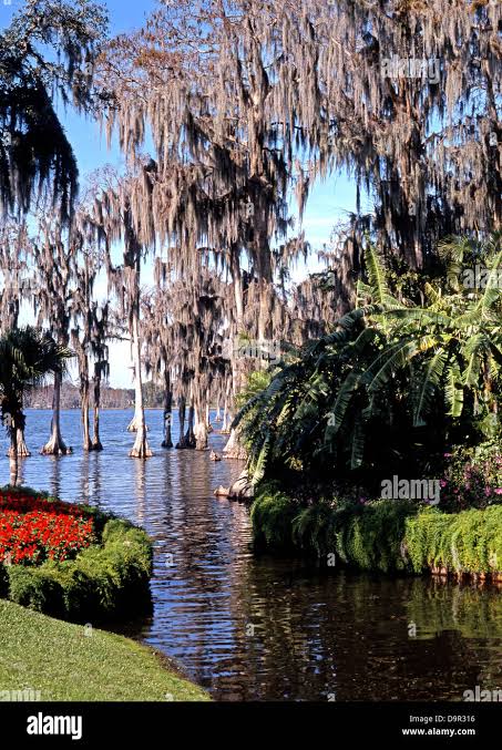 Winter Haven 3