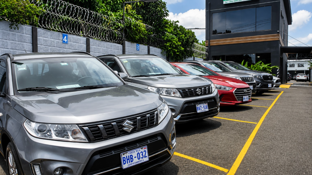 Row of vehicles prepared for Natural Car Rental operations.
