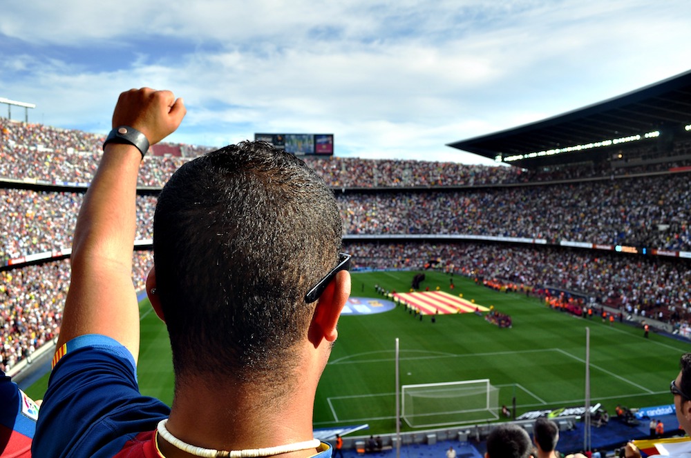 Sports Marketing and Fans