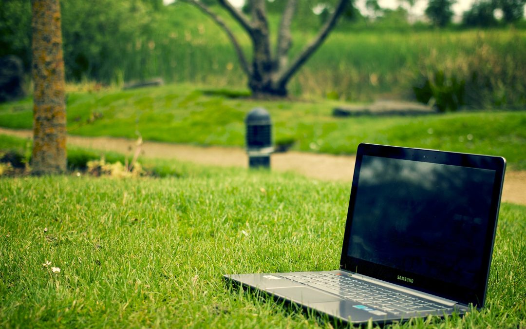 What Agencies Can Learn From Incubators