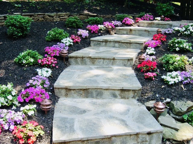 Landscape Design & Installation 1