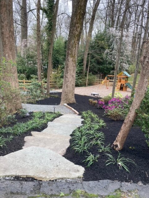 Landscape Design & Installation 5