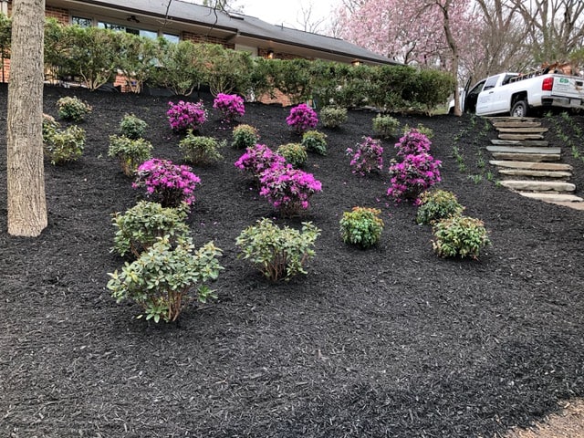 Landscape Design & Installation 2
