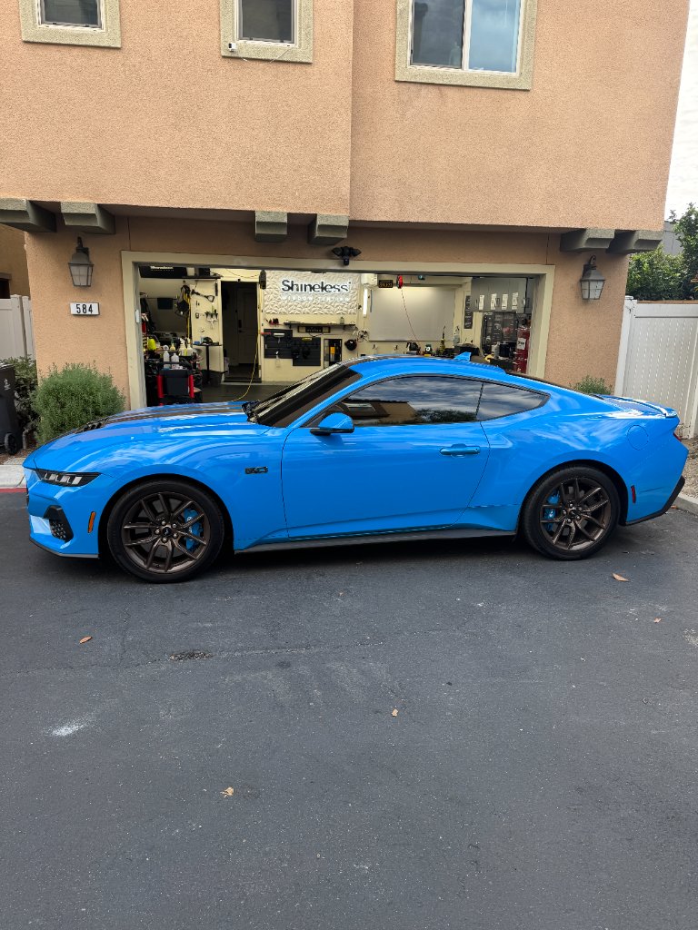 Mustang GT500 (Blue)