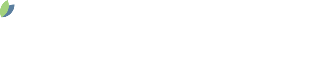 iO Brace