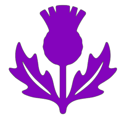 Thistle