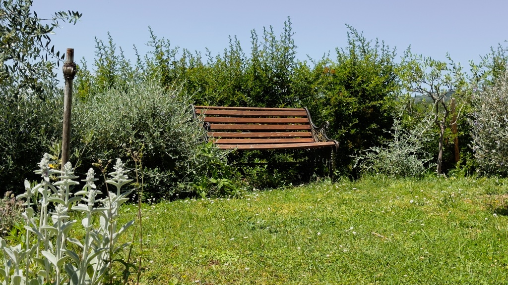 Il Giardino 4