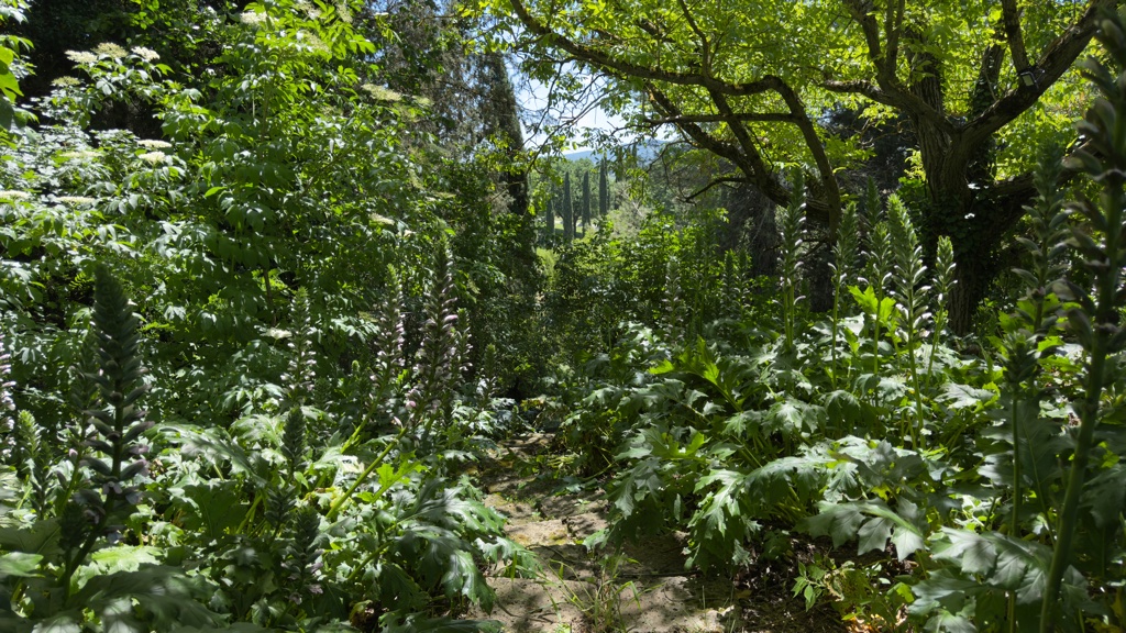 La Valle 4