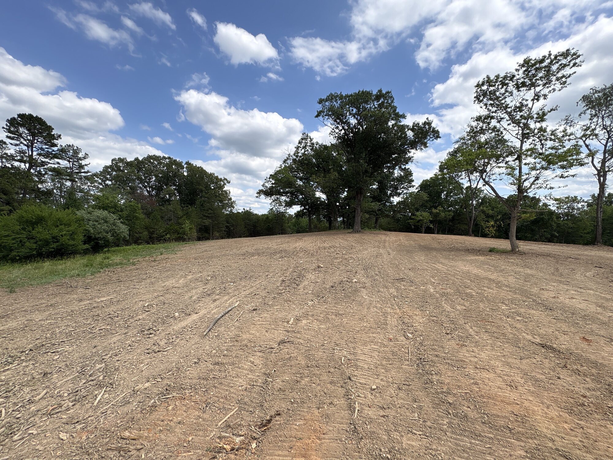 The same lot after clearing and grading, a smooth open building site