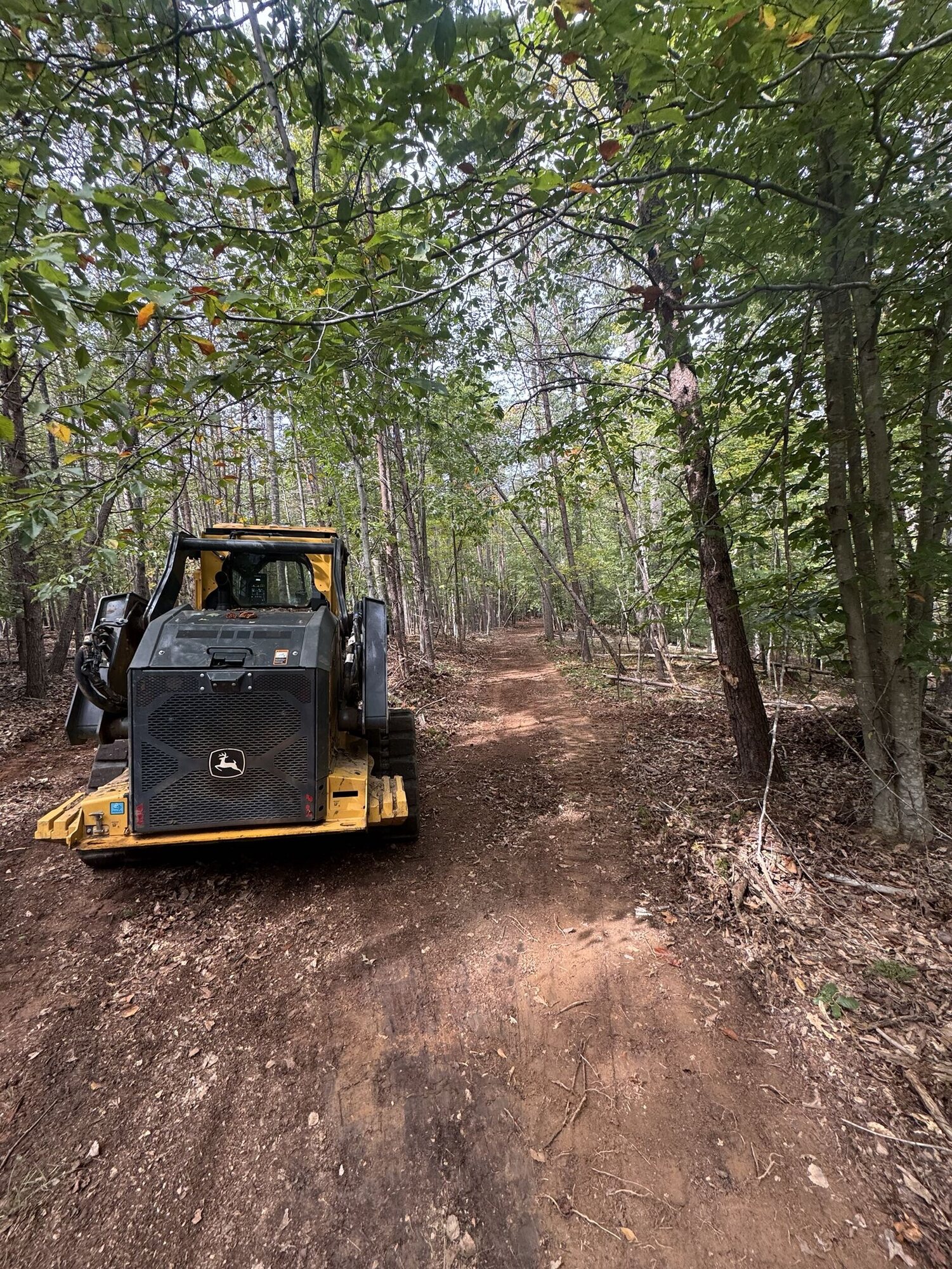Tracked loader clearing a path through dense woods