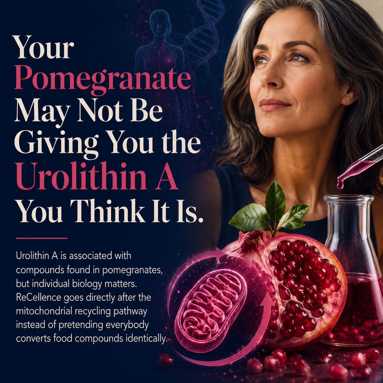 Your Pomegranate May Not Be Giving You the Urolithin A You Think It Is.