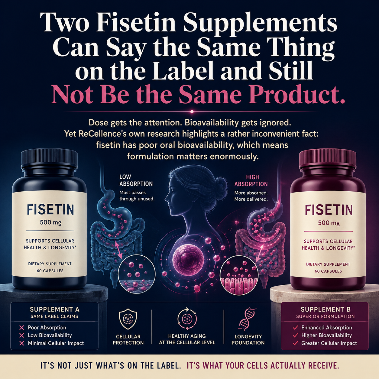 Two Fisetin Supplements Can Say the Same Thing on the Label and Still Not Be the Same Product.