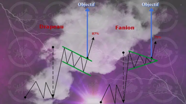 Comparaison entre le Drapeau et le Fanion : structures et objectifs