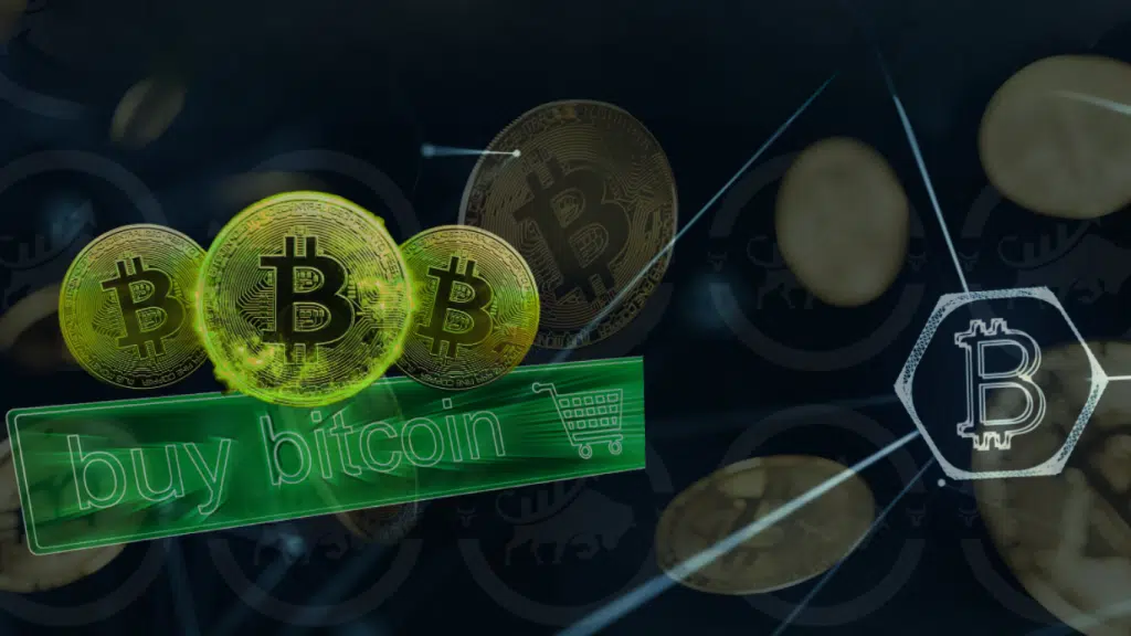 Polkadot y Bitcoin: guía completa para invertir de forma segura en 2026