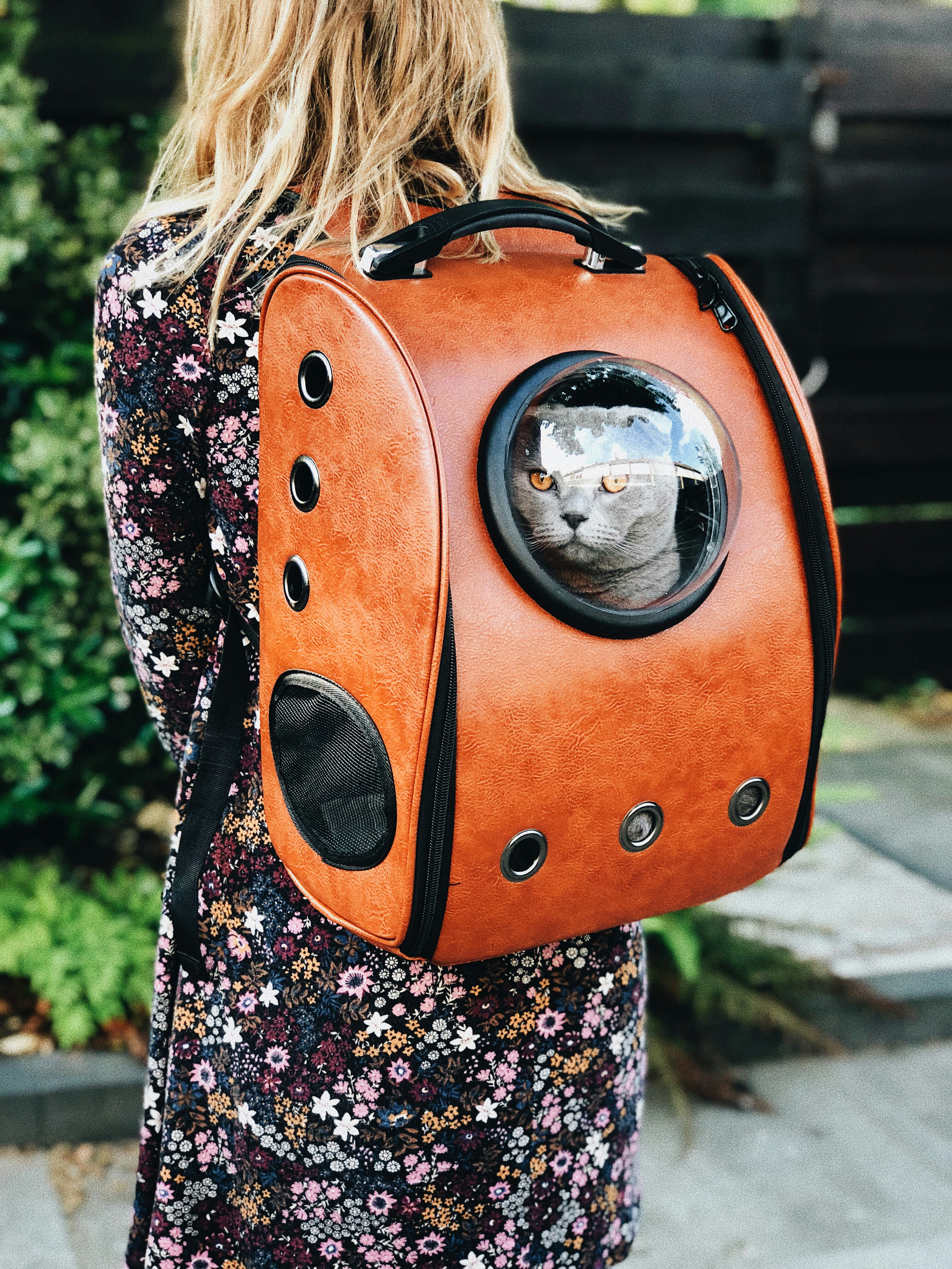 Traveler carrying a pet in a carrier backpack, representing the pet-travel visitor experience