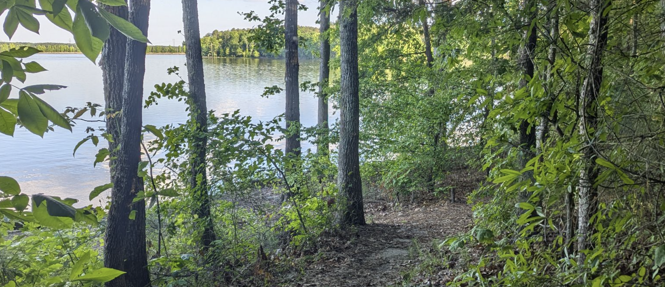 A wooded trail leading toward calm water — Triangle Trails Realty