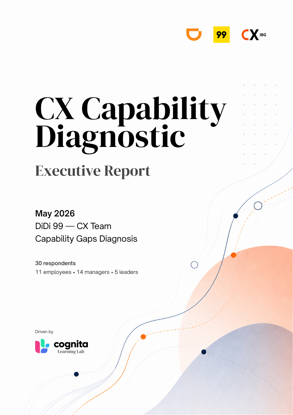 CX Capability Diagnostic Executive Report