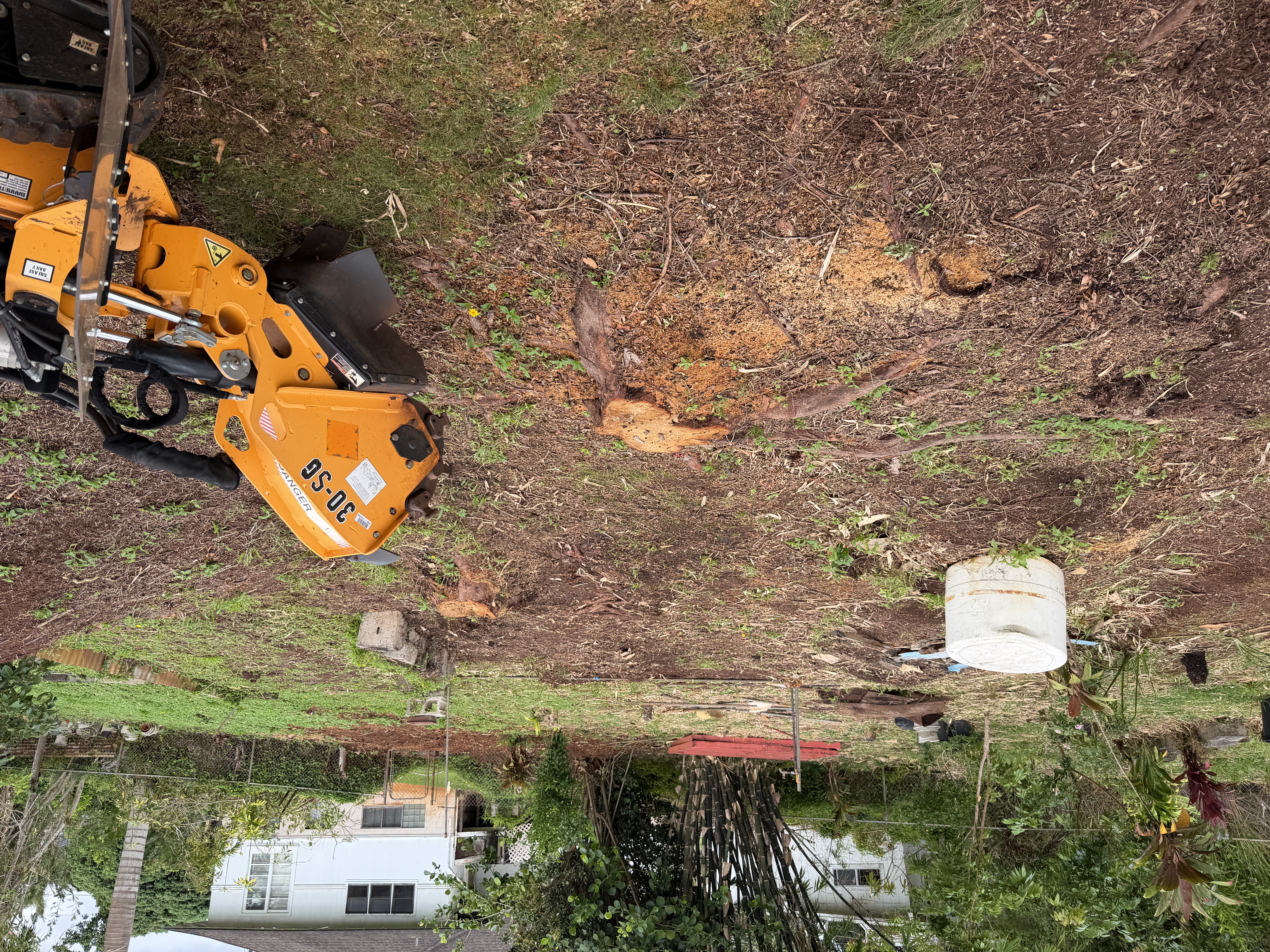 Professional stump grinding on Oahu — stump grinder in action