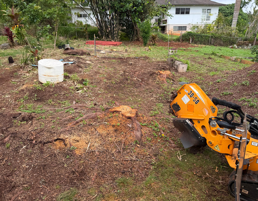 Ranger 30-DC stump grinder working a backyard stump in Wahiawa