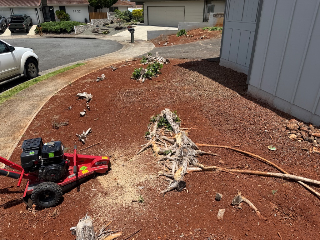 Stump Grinding service on Oahu — Kaimana Cleanup