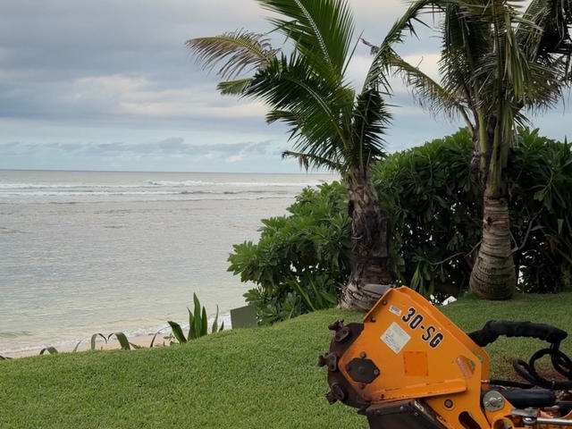 before — Coastal Stump Grinding