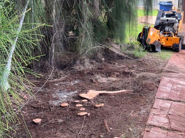 before — Pathside Stump Grinding