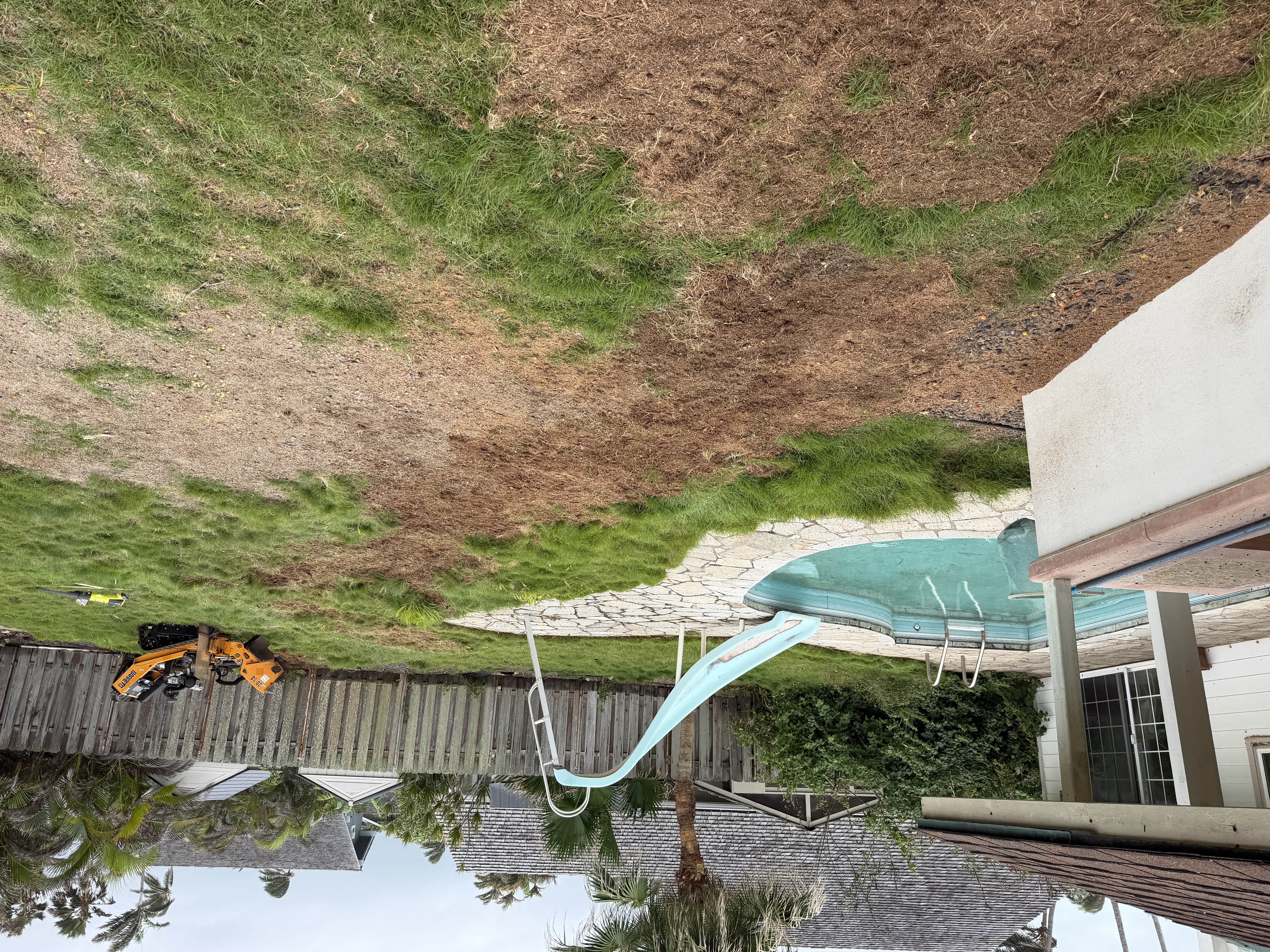 Barreto stump grinder on site at a Kailua backyard with Manila palm stumps