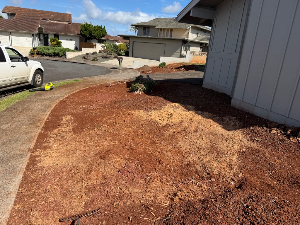 Yard after stump grinding — stump ground below grade and mulched on Oahu