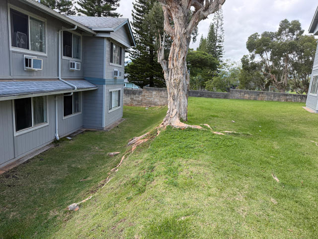 Kahala estate cleanout junk removal — photo 7