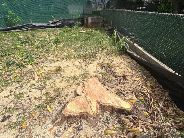 before — Fenceline Stump Grinding