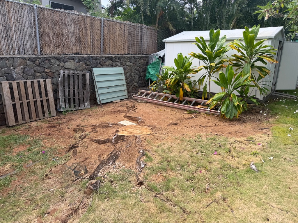 Professional stump grinding on Oahu — stump grinder in action
