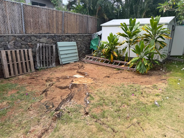 before — Backyard Stump Removal
