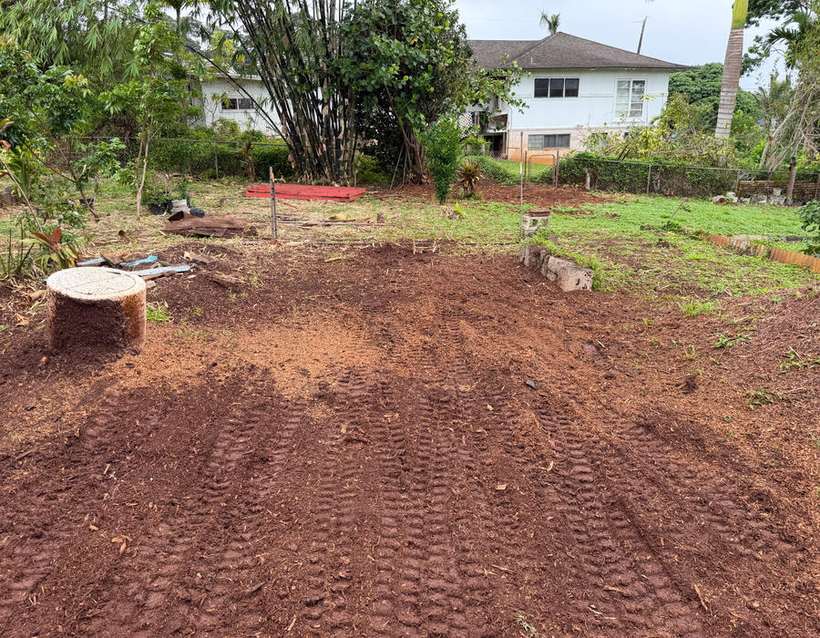 Cleared backyard in Wahiawa after stump grinding