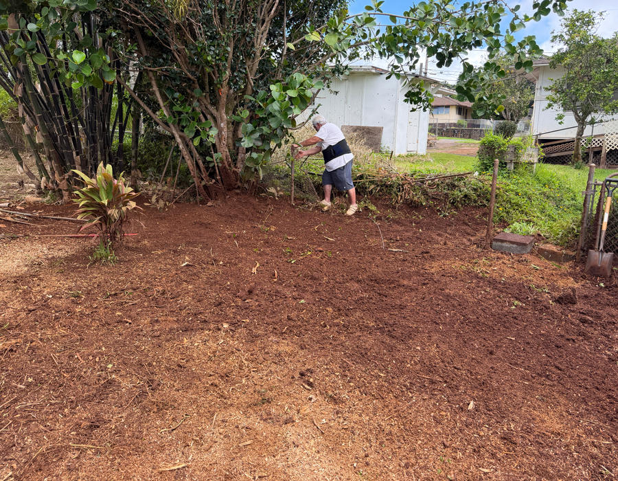 Mulched backyard area in Wahiawa after bamboo stump grinding
