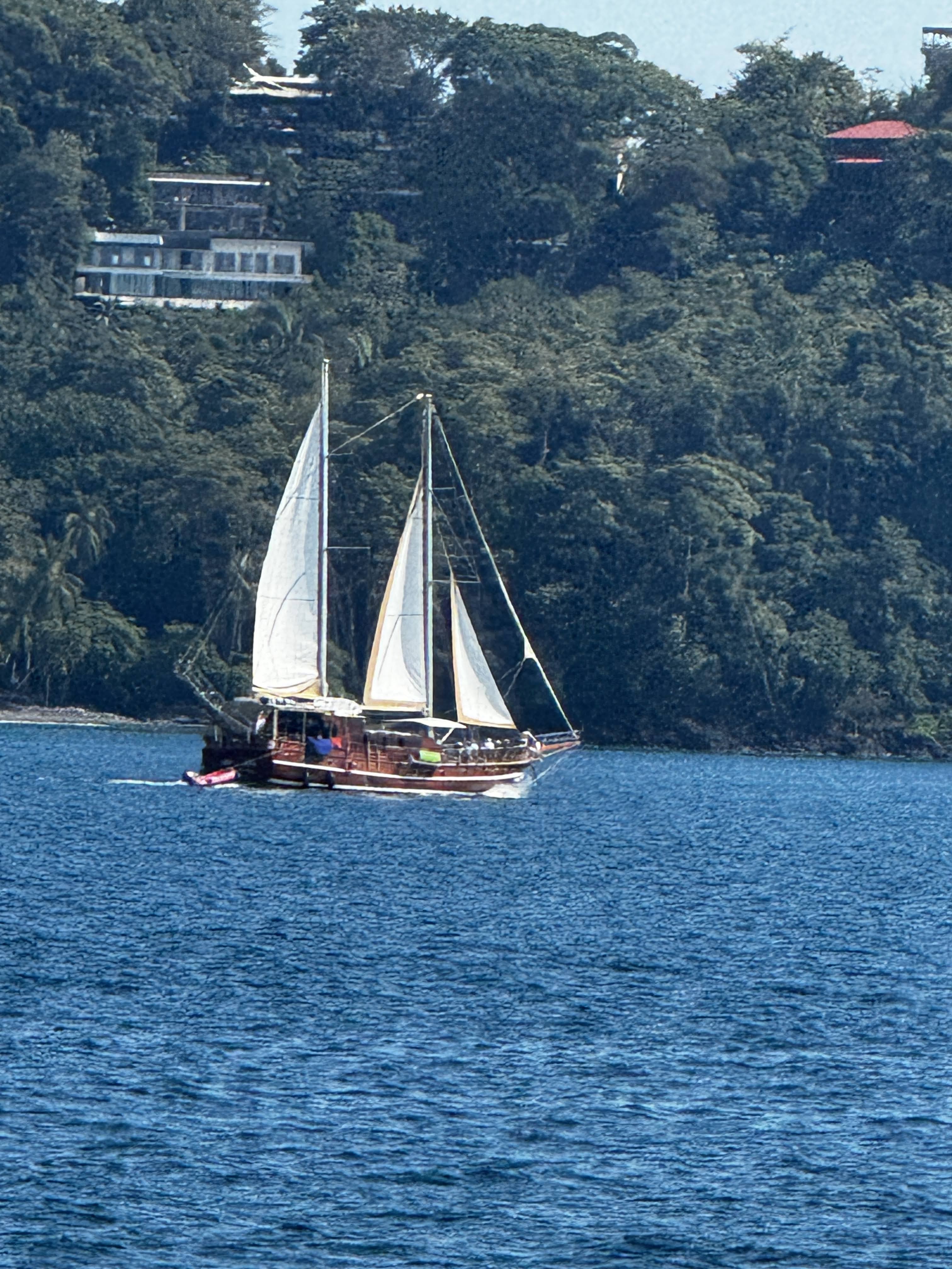 Sails up